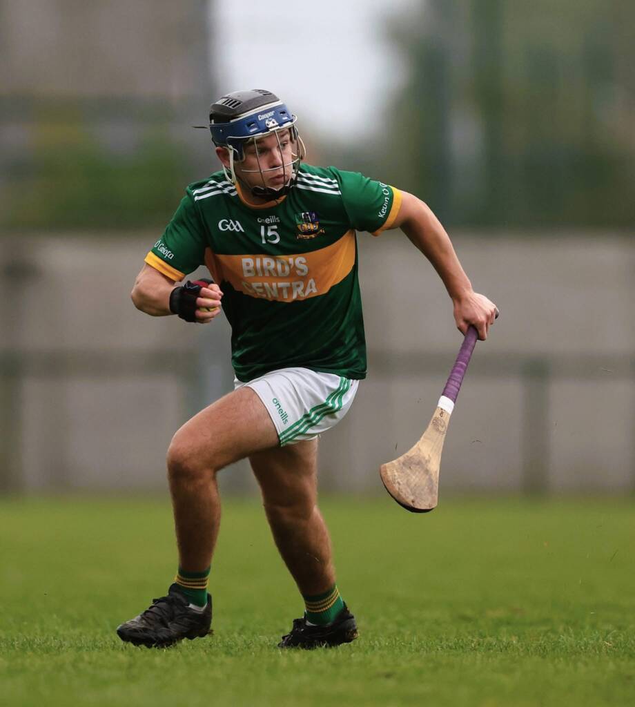 Hurling match action